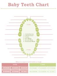 Standard Baby Teeth Chart Edit Fill Sign Online Handypdf