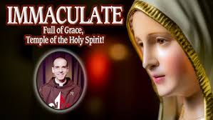 Immaculate, full of grace, temple of the Holy Spirit!|  DailyGospelMeditation|Fr. David|Dec 8th, 2022