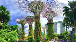 Gardens By The Bay Singapore Marina Bay Sands On A Budget Night Shows Singapore Itinerary Gardens By The Bay Singapore