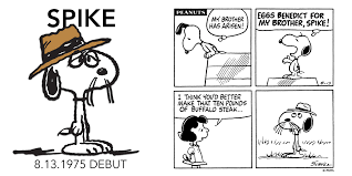 Snoopy is an anthropomorphic beagle5 in the comic strip. Charles M Schulz Museum It S Spikeday Snoopy S Older Brother Spike Made His Debut 45 Years Ago Today In A Peanuts Comic Strip Published On August 13 1975 A Versatile Character
