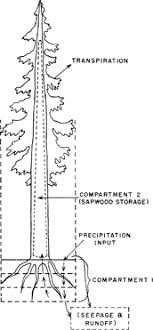 Modeling Earth S Land Biosphere