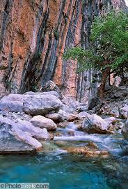 a sparkling green creek flows through samaria gorge in samaria national park on the island of crete in greece europe the visiting greece crete greece crete