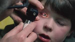 25 Iona Men Stock Videos, Footage, & 4K Video Clips