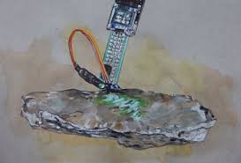 Bildergebnis für Marcela Armas