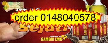 Pembekal gambir emas,gambir emas kuala lumpur,gambir emas putrajaya,gambir emas selagor. Gambir Emas Performance Gel Gambir Emas Gambir Emas Murah Malaysia