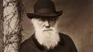 Xnu kernel is part of the darwin operating system for use in macos and ios operating systems. Biography Of Charles Darwin 19th Century Naturalist