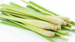 Manfaat mandi dengan air rebusan daun serai wangi bau air daun serai wangi adalah satu aromaterapi yang dapat buat kita rasa segar dan bertenaga kembali. Tanaman Serai Wangi Penyedap Rasa Makanan Khas Melayu Saat Berbuka Puasa Ajang Berita