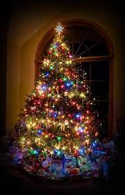 Christmas Eve Christmas Images Beautiful Christmas Trees Christmas Scenes