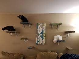 I chose the 10″ deep boards because it's what looked best for that particular wall and because it would be deep enough to. Diy Cat Shelves Tails Tips