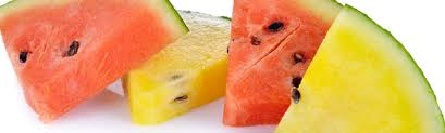 You can tell right away if a watermelon is not good based on the flesh inside. Why Is The Watermelon Yellow Inside What About Watermelon