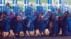 However, when the san francisco chronicle got wind of such an unusual race, they dared to call richards' bluff and showed up with camels. Horse Racing Schedule Hollywood Casino At Penn National Race Course