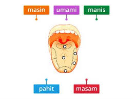 You can create one as well, really easily.get started. Struktur Lidah Sumber Pengajaran