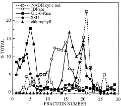 We did not find results for: The Polyprotein Precursor To The Euglena Light Harvesting Chlorophyll A B Binding Protein Is Transported To The Golgi Apparatus Prior To Chloroplast Import And Polyprotein Processing Journal Of Biological Chemistry