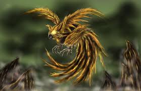We have 65+ background pictures for you! David S Still Life Real Phoenix Bird Phoenix Images Phoenix Bird Art