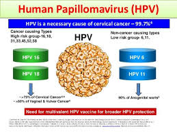 Pin On Hpv