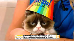 Happy Birthday Grumpy Cat Youtube
