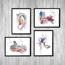 Audiology Art Human Ear Anatomy Watercolor Prints In 2021 Doctors Office Decor Human Ear Human Ear Anatomy