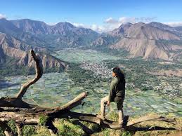 Lokasi dari taman pusuk sembalun ini berada di jl. Serunya Mendaki Bukit Pergasingan Sembalun Di Lombok Timur