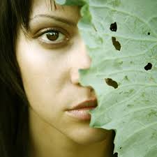 373 Horse Fern Stock Photos