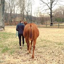 Cactus Creek Barn A Wedding Event Venue Home Facebook
