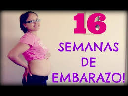 15 Y 16 Semanas De Embarazo 4 Meses Segundo Trimestre 16 Weeks Pregnant Youtube