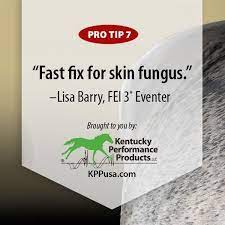 Got Pesky Skin Fungus Or Rain Rot Kpp Rain Rot Rot Fungi