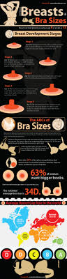 Maybe you would like to learn more about one of these? All About Breast And Bra Sizes Visual Ly