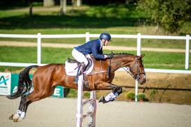 Horse rider tiggy hancock, 15, was described as a rising star in showjumping events. Ardeo Sport Horses Posts Facebook