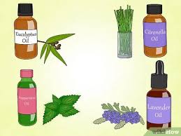 3 Ways To Make Natural Outdoor Fly Repellent With Essential Oils