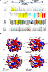 A + b = 500 equation 3: Frontiers Emergence Of Bat Related Betacoronaviruses Hazard And Risks Microbiology