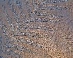 Sandblasting is loud and can create excessive dust so other alternatives are sometimes required. 25 Sparrow Stencil Sandblasting Ideas Sandblasted Painted Floors Concrete Decor