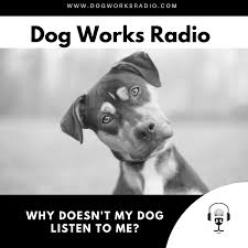 My dog won t listen to me. Why Doesn T My Dog Listen To Me Dog Works Radio