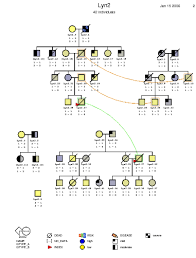 Learn more about family tree diagrams, their structure and purpose of use. Geps 030 New Visualization Techniques Gramps