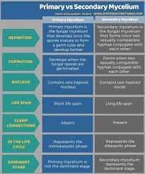 The idea is to probe more widely. Difference Between Primary And Secondary Mycelium Compare The Difference Between Similar Terms
