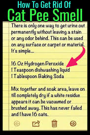 Cat Urine Stink How To Get Rid Of Cat Pee Smell Decluttering Your Life