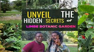 Image result for Afrostyrax kamerunensis