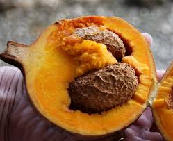 Image result for Mammea americana