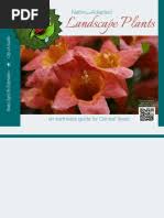 Image result for Zygotritonia atropurpurea