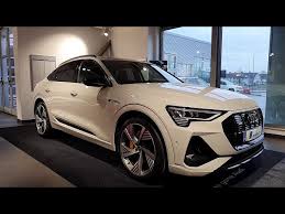 Image result for Siam Beige 2020 Audi