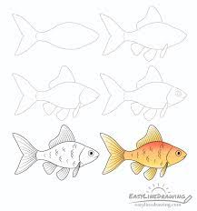 Art projects for kids.org is a participant in the amazon services llc associates program, an affiliate advertising program designed to provide a means for me to earn fees by linking to amazon.com and affiliated sites. How To Draw A Goldfish Step By Step Easylinedrawing