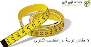 تطويل القضيب طول القضيب الانتصاب وغيرها من المعلومات التي قد لا يعرفها الكثير من الرجال عن القضيب أو العضو الذكري إليكم أك Cmyk Color Clip Art Stock Images