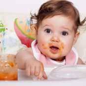 Elektrikli Pompa mı Manuel Pompa mı? Süt Sağma Makinesi Seçimi