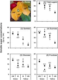 Manipulation Of Plant Primary Metabolism By Leaf Mining