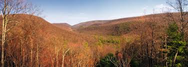 We did not find results for: Bald Eagle State Forest Map Pa Natural Atlas