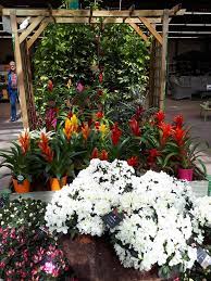 Serres de gouaix romilly : Jardiland Jardiland Romilly S S Is With Jardiland Facebook