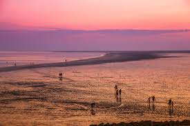 In einem video warnt die schutzstation wattenmeer vor den gefahren im wattenmeer. Zwischen Ebbe Und Flut Nationalpark Niedersachsisches Wattenmeer