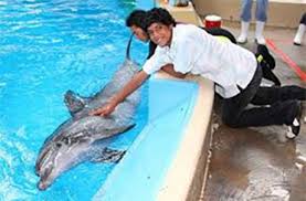 Get a summary of everything salim (madhur mittal (younger salim played by ashutosh lobo gajiwala and azharuddin mohammed ismail)) does throughout slumdog millionaire. Ocean Park And Animal Ambassadors Warmly Welcome Actor Ashutosh Lobo Gajiwala From Slumdog Millionaire Movie For Day Of Fun ã‚ªãƒ¼ã‚·ãƒ£ãƒ³ãƒ'ãƒ¼ã‚¯
