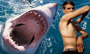 Maybe you would like to learn more about one of these? Seychelles Shark Attack After Ian Redmond S Tragedy The Story Of Rodney Fox S Survival Daily Mail Online