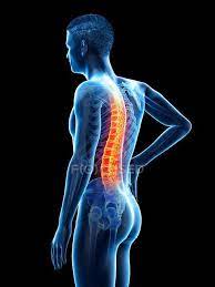 Side View Of Male Body With Back Pain On Black Background Conceptual Illustration Backache Skeletal System Stock Photo 308621262