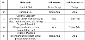Maybe you would like to learn more about one of these? Sebutkan Perbedaan Sel Hewan Dengan Sel Tumbuhan